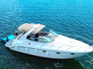 38' Maxum
